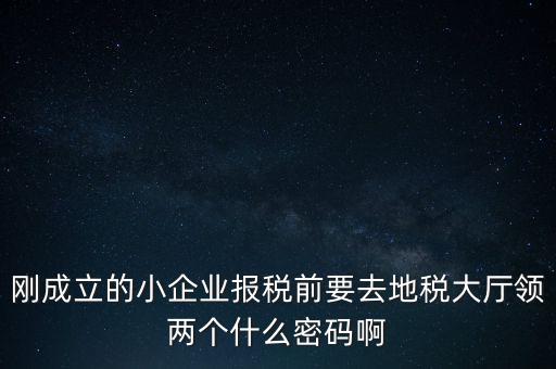 繳稅服務(wù)廳口令輸什么，剛成立的小企業(yè)報稅前要去地稅大廳領(lǐng)兩個什么密碼啊