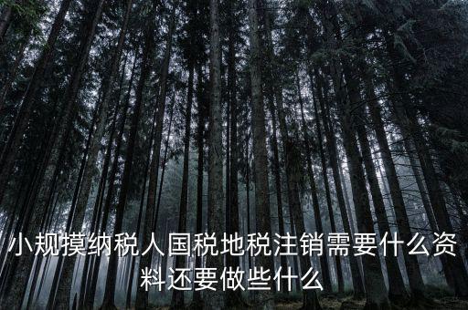 國地稅注銷需要什么，小規(guī)摸納稅人國稅地稅注銷需要什么資料還要做些什么