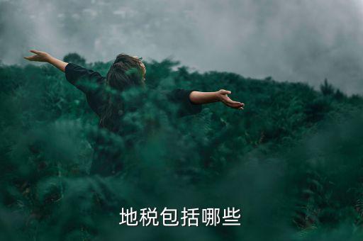 地方稅包括什么稅，地稅包括哪些