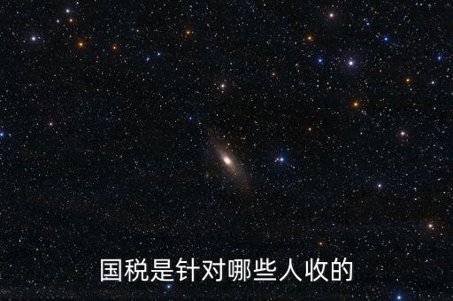 國稅都有什么人才庫，國稅有哪幾種