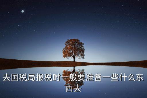 去國稅局都是帶什么東西，去國稅定稅要帶哪些東西啊我暈倒了以前從來沒定過