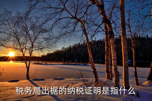 什么是稅收證明，什么是個(gè)人納稅證明