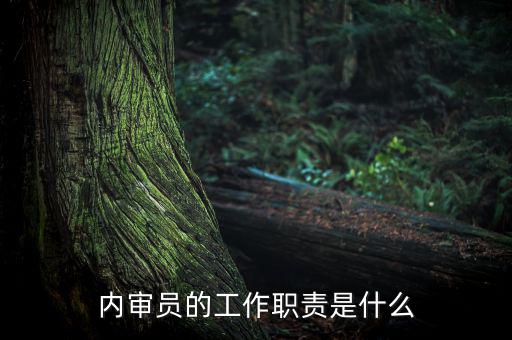 督察內(nèi)審是什么工作，內(nèi)審監(jiān)察主要工作職能
