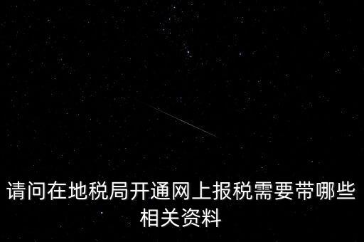 網(wǎng)上申報地稅需要什么，一般納稅人網(wǎng)上申報地稅上要報哪些稅