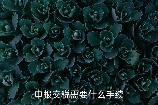 辦理稅務(wù)需要什么手續(xù)，稅務(wù)登記 代辦需要什么手續(xù)
