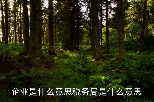 稅務(wù)局官網(wǎng)什么意思，稅官是什么意思