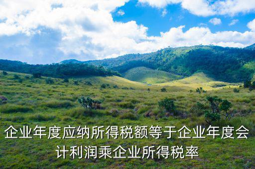 應納稅所得額等于什么，什么是應納稅所得額