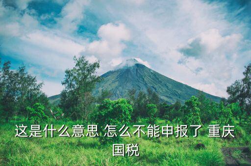 重慶稅務(wù)網(wǎng)站是什么意思，這是什么意思 怎么不能申報(bào)了 重慶國稅