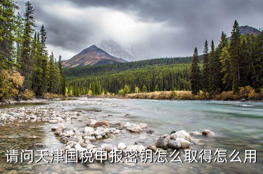 天津手機(jī)報稅app密碼是什么意思，請問天津國稅申報密鑰怎么取得怎么用