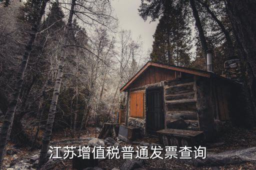 江蘇國(guó)稅網(wǎng)站運(yùn)行的環(huán)境是什么，江蘇國(guó)稅徐州網(wǎng)站怎么上不去