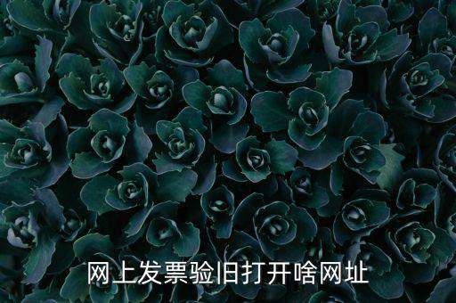 山東省網(wǎng)絡(luò)開票網(wǎng)址是什么，網(wǎng)上發(fā)票驗舊打開啥網(wǎng)址