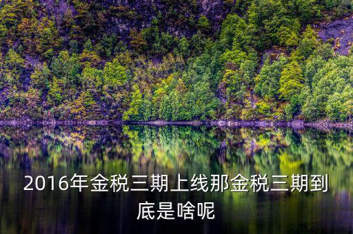 金三稅是指什么，金稅三期是什么意思