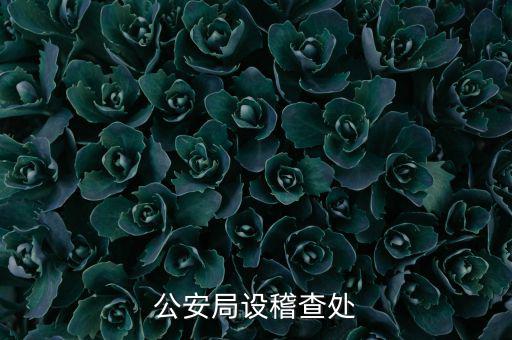 稽查處是什么部門，公安局設(shè)稽查處