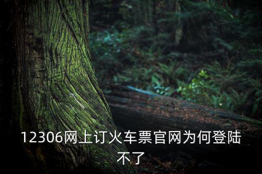 12306網上訂火車票官網為何登陸不了