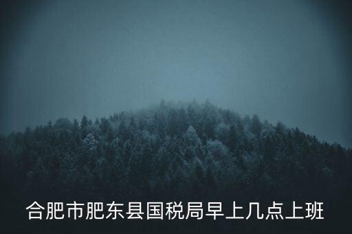 安徽國(guó)稅什么時(shí)候上班時(shí)間，國(guó)稅局的上班時(shí)間