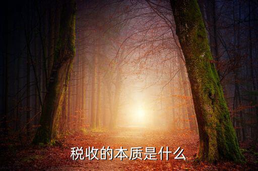 納稅服務(wù)本質(zhì)是什么意思，稅收的本質(zhì)是什么
