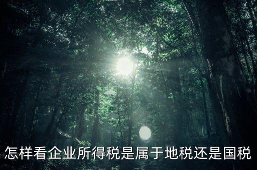 所得稅屬于什么稅，所得稅包括什么稅