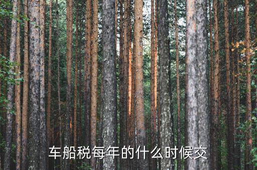 車船稅從什么時(shí)間交，車船稅什么時(shí)候交比如要交2017年的是2016年12月31日前交還是