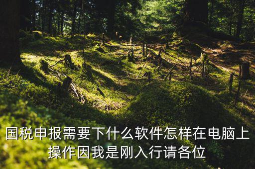 寶雞國(guó)稅用的什么軟件報(bào)稅，寶雞報(bào)稅怎么報(bào)