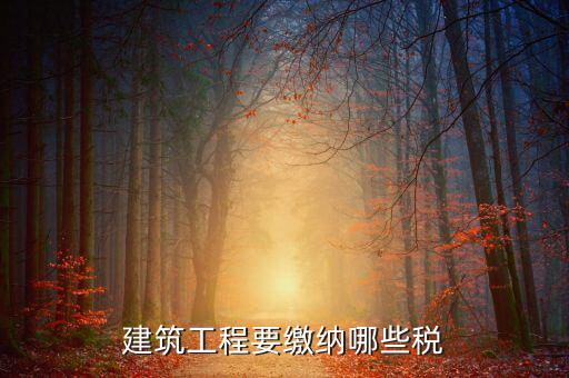 建房子要交什么稅，新房都要交那些稅