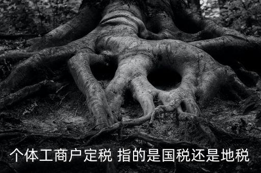 個體戶定稅是什么意思，疑難國稅個體戶定稅