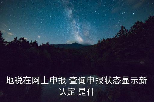 地稅在網上申報 查詢申報狀態(tài)顯示新認定 是什
