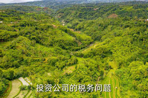 投資公司需要交什么稅，投資公司修建寺院需要上稅嗎上什么稅種