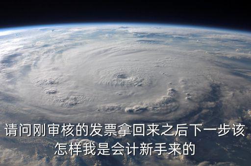 發(fā)票核定完之后接下來做什么，請問剛審核的發(fā)票拿回來之后下一步該怎樣我是會計(jì)新手來的