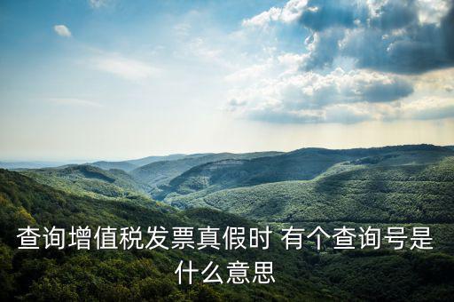 陜西省發(fā)票查詢號是什么意思，電子發(fā)票號碼是什么意思