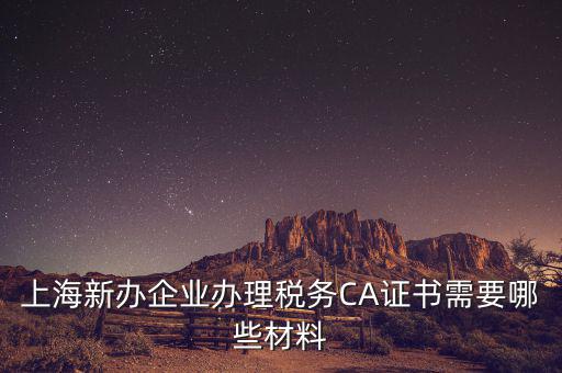 2014年7月份上海稅務(wù)局還需要審什么證，上海新辦企業(yè)辦理稅務(wù)CA證書(shū)需要哪些材料
