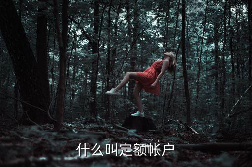 國稅的定期定額戶是什么意思，國稅買票需要定稅或建賬是什么意思
