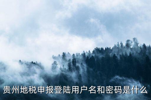 地稅登錄名密碼是什么意思，地稅申報(bào)的用戶名和密碼是什么