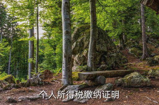 個(gè)人稅務(wù)證明是什么，什么是個(gè)人納稅證明