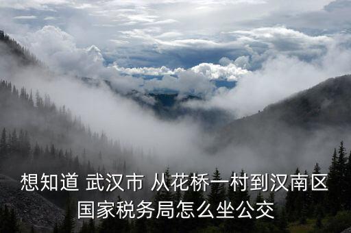 想知道 武漢市 從花橋一村到漢南區(qū)國家稅務局怎么坐公交