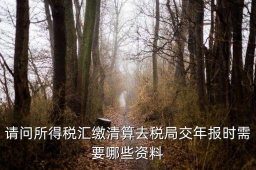 公司稅務(wù)年報(bào)需要什么，問(wèn)企業(yè)所得稅年報(bào)怎么報(bào)需要什么資料