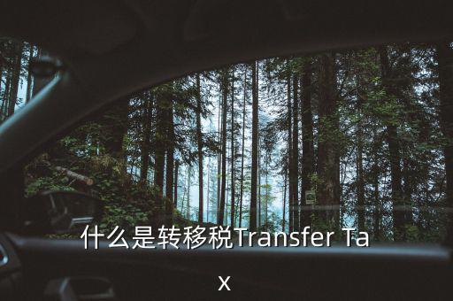 什么是跨地區(qū)稅收轉(zhuǎn)移企業(yè)，什么是轉(zhuǎn)移稅Transfer Tax
