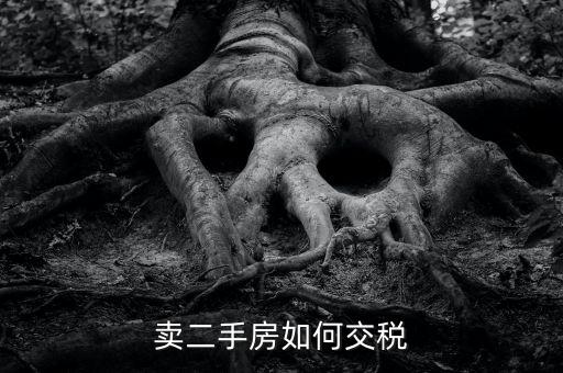 個(gè)稅手續(xù)費(fèi)什么時(shí)候反還，我中獎(jiǎng)了打了錢過(guò)去還說(shuō)要交個(gè)人所得稅才能領(lǐng)獎(jiǎng)是真的嗎