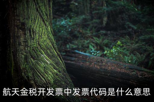 增值稅的航天編碼是什么，航天金稅 自動(dòng)開票 怎么獲取 發(fā)票代碼 發(fā)票號碼