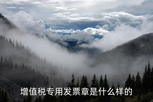 發(fā)票專(zhuān)用章什么樣子，增值稅專(zhuān)用發(fā)票章是什么樣的