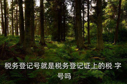 稅務(wù)登記證是什么字體，稅務(wù)登記證上的這是什么字體