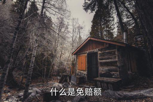 什么是免抵調(diào)庫(kù)，什么叫保險(xiǎn)理賠免調(diào)查件