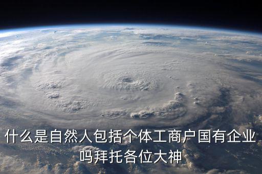 什么是自然人包括個(gè)體工商戶國有企業(yè)嗎拜托各位大神