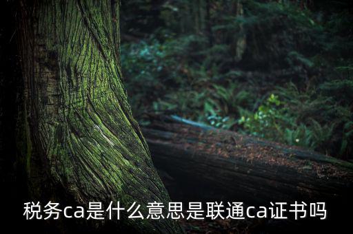 稅務(wù)ca是什么意思，去地稅簽三方協(xié)議需要以下東西第四個(gè)CA是什么意思啊