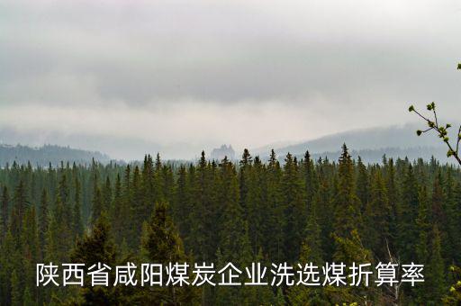 什么是洗選煤折算率，不是說(shuō)選煤洗煤不交資源稅嗎為什么要乘選煤折算率再乘稅率呢