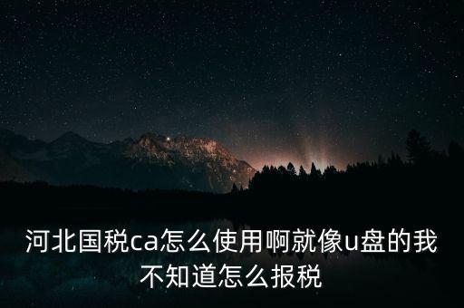 ca行助手是什么，稅務申報是否下載ca行助手就可以了