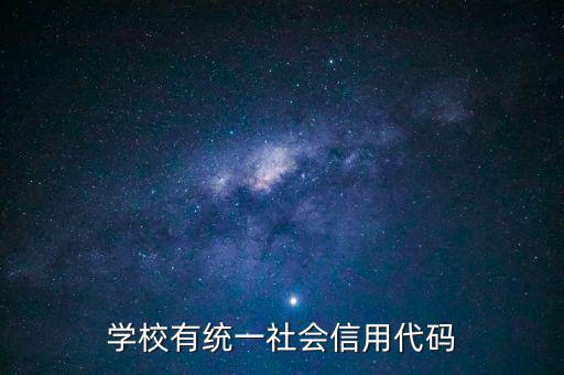 學校有統(tǒng)一社會信用代碼