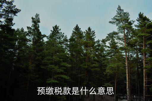 已預(yù)繳稅費(fèi)指什么，預(yù)繳稅款是什么意思