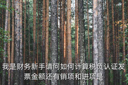 認(rèn)證業(yè)務(wù)是什么稅種，一般納稅人認(rèn)證企業(yè)每個(gè)月最低要繳多少稅有哪些稅新注冊(cè)公司是