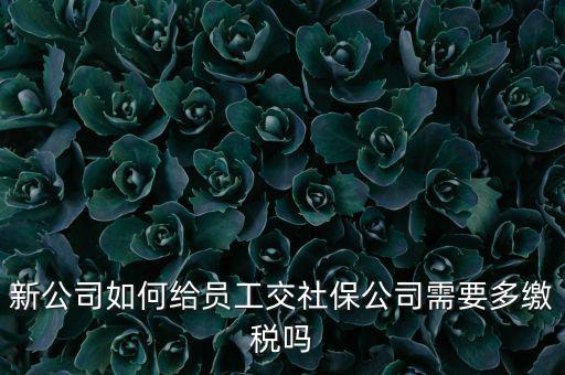 公司交社保要交什么稅，企業(yè)為員工交養(yǎng)老保險要不要交稅的