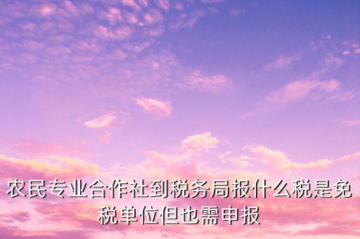 農(nóng)村合作社交什么稅，農(nóng)民合作社每個(gè)月要申報(bào)什么稅